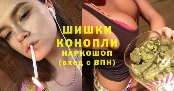 тгк Белокуриха