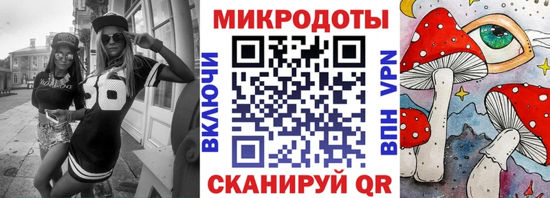 где продают   Казань  Псилоцибиновые грибы Cubensis 